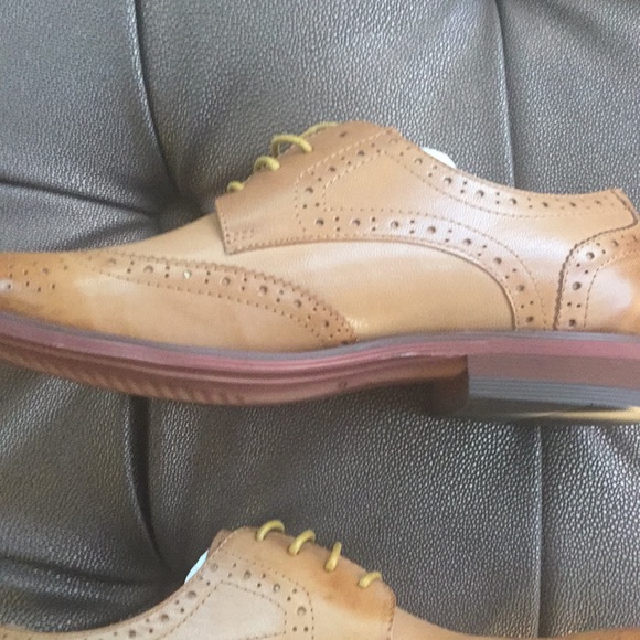 Beau today new in box - Picture 4 of 8